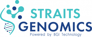 DAYA IMPIAN CONSULTANTS SDN BHD